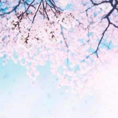 天之痕完整版手游下载